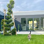 Florida 7 Bed & Breakfast 3*