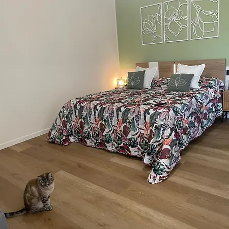Bed & Breakfast Florida 7 *