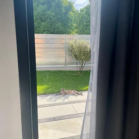 Florida 7